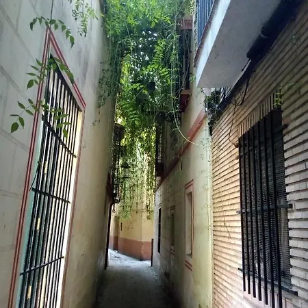 Lejlighed Casa De La Alegria *